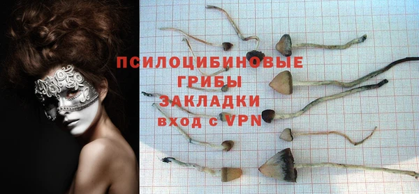 индика Алзамай