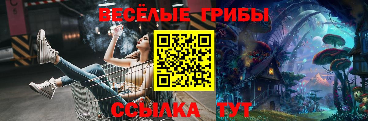 Тара  Галлюциногенные грибы ЛСД  Вход с VPN 